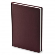 Ежедневник недатированный Attache Velvet искусственная кожа Soft Touch A5+ 136 листов бордовый (146 ...