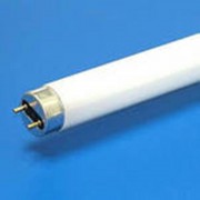 Лампа люминесцентная Osram L 18 Вт цоколь G13 25 штук в упаковке (холодный белый свет)