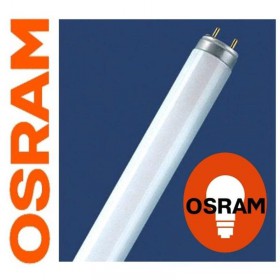 Лампа люминесцентная Osram Lumilux L 58 Вт цоколь G13 25 штук в упаковке (холодный белый свет)