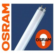 Лампа люминесцентная Osram Lumilux L 18 Вт цоколь G13 25 штук в упаковке (холодный белый свет)