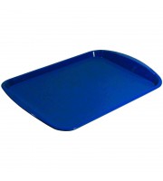 Поднос прямоугольный пластиковый Polar 470х330 мм синий